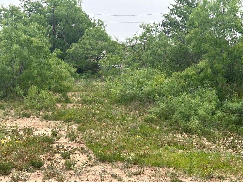 0.26 Acres of Residential Land for Sale in San Angelo, Texas