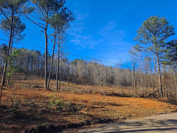 19.5 Acres of Land for Sale in Parrish, Alabama