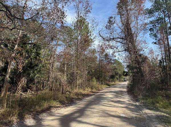 8 Acres of Residential Land for Sale in Citra, Florida