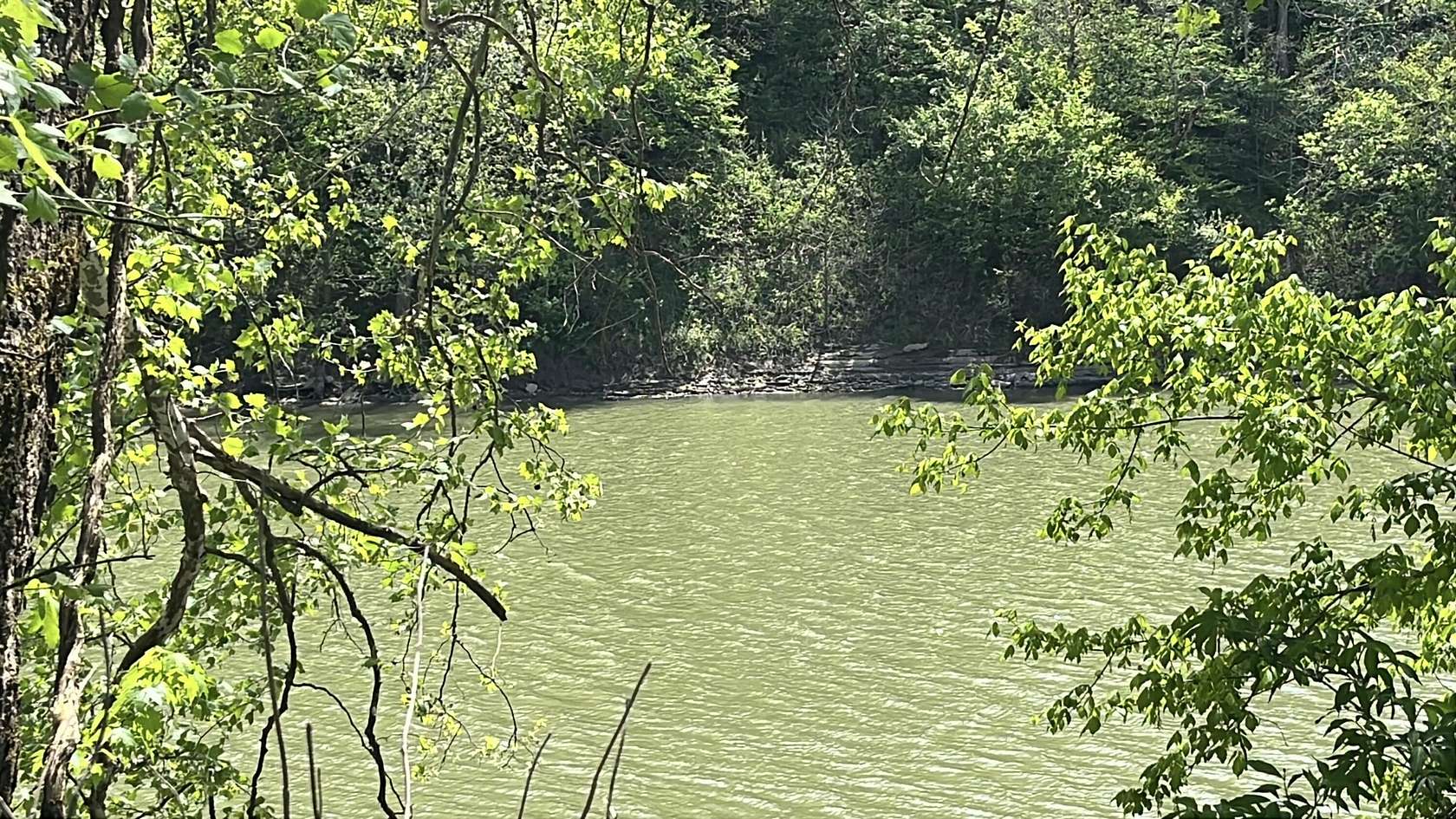 9.75 Acres of Land for Sale in Winchester, Kentucky