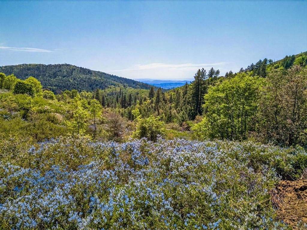 200 Acres of Recreational Land for Sale in Palomar Mountain, California