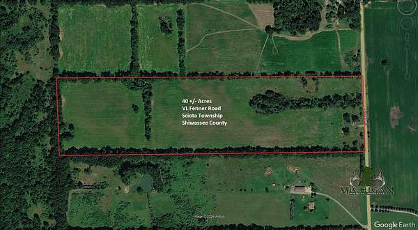 40 Acres of Land for Sale in Laingsburg, Michigan