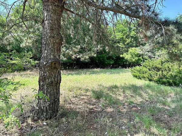 80.8 Acres of Land for Sale in Shamrock, Texas