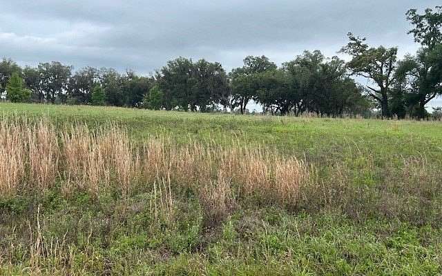 1 Acre of Residential Land for Sale in Live Oak, Florida