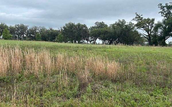 1 Acre of Residential Land for Sale in Live Oak, Florida