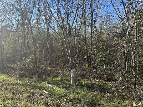 95 Acres of Land for Sale in Decatur, Tennessee