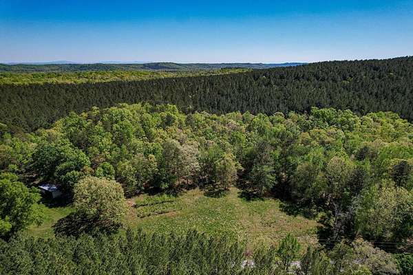 110 Acres of Land for Sale in Decatur, Tennessee