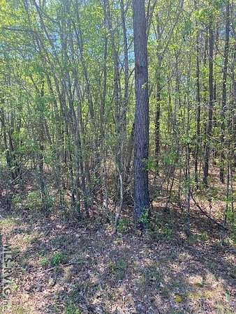 13.3 Acres of Recreational & Residential Land for Sale in Brodnax, Virginia