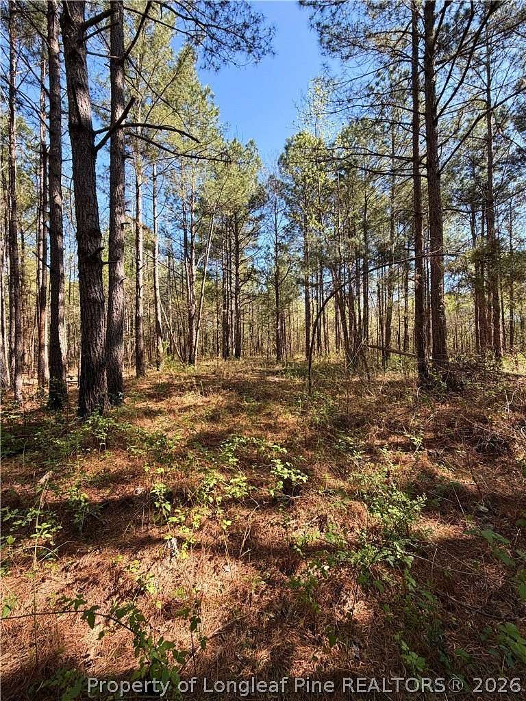 22 Acres of Land for Sale in Maxton, North Carolina