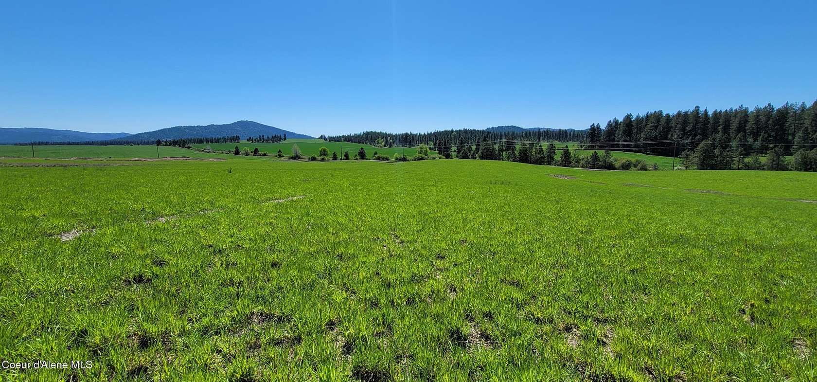 10 Acres of Recreational & Residential Land for Sale in Worley, Idaho