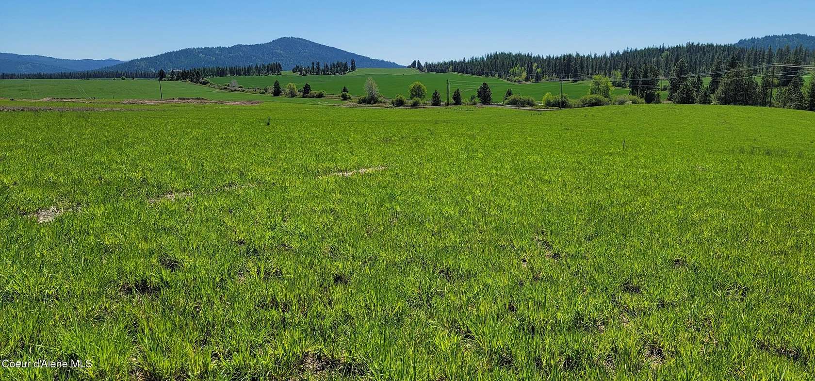 10 Acres of Recreational & Residential Land for Sale in Worley, Idaho
