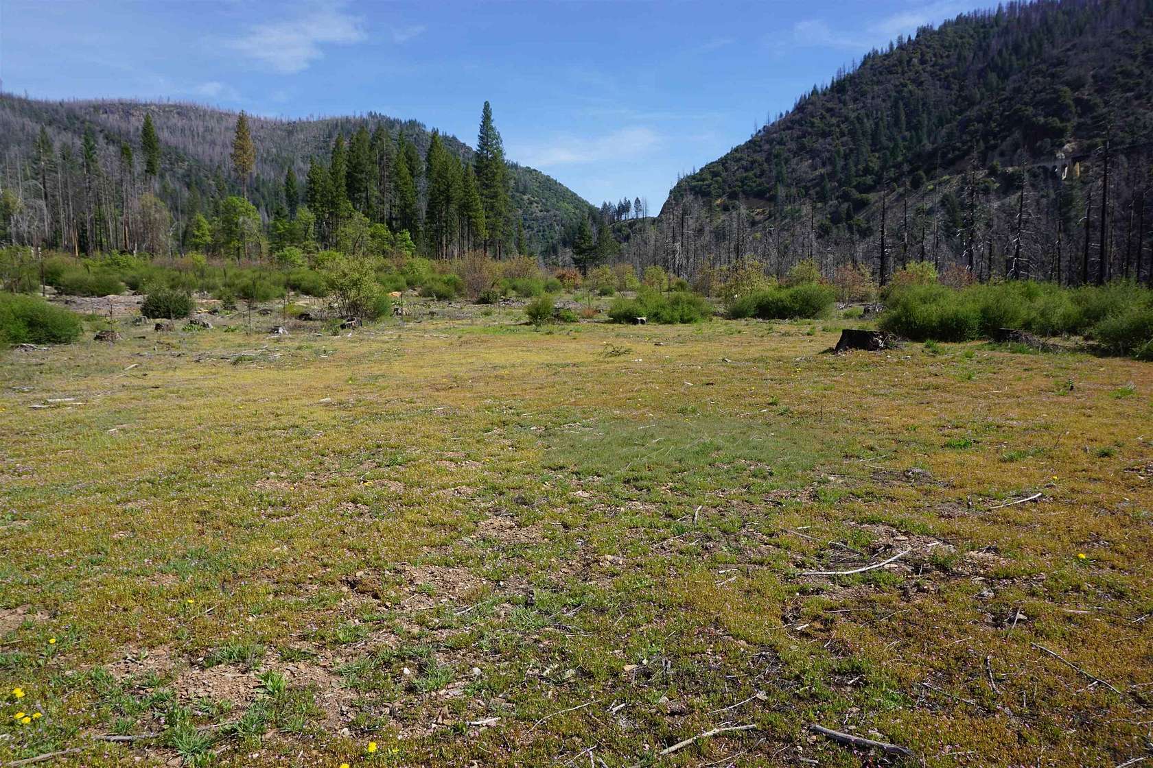 28.5 Acres of Recreational Land for Sale in Taylorsville, California
