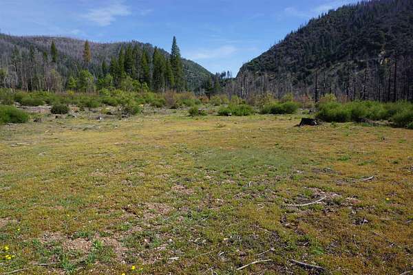 28.5 Acres of Recreational Land for Sale in Taylorsville, California