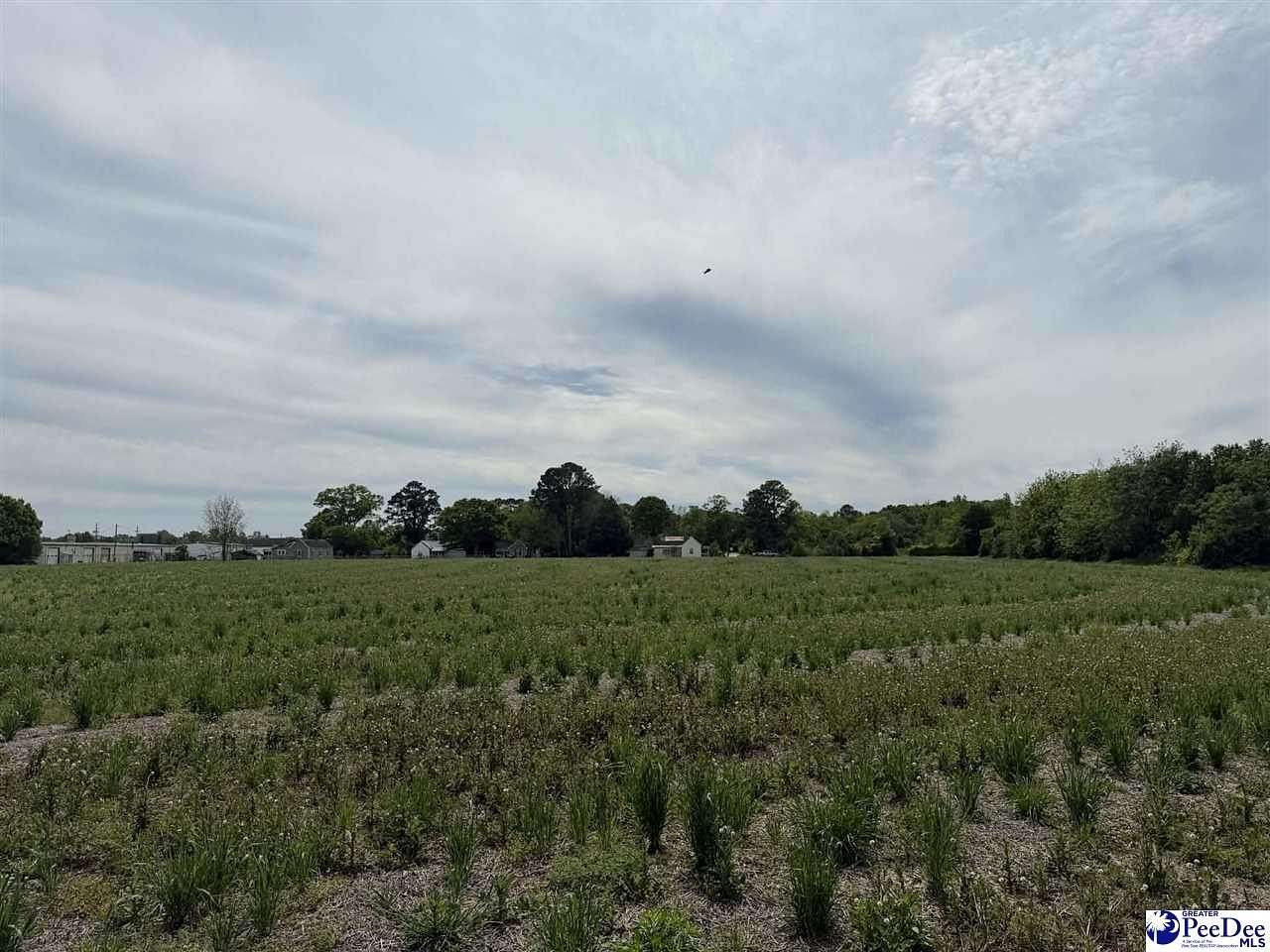 8.16 Acres of Commercial Land for Sale in Dillon, South Carolina
