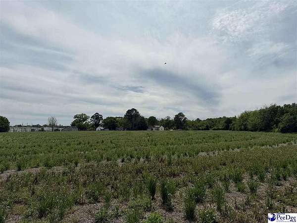 8.16 Acres of Commercial Land for Sale in Dillon, South Carolina