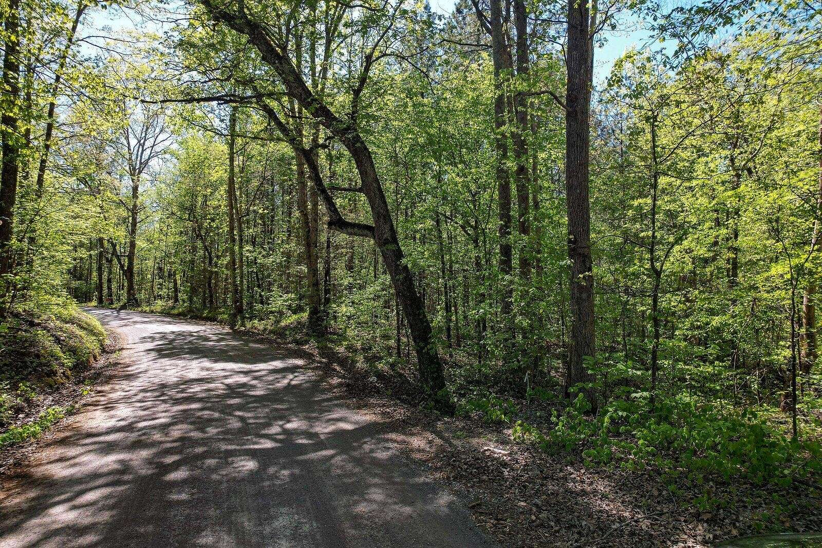 146 Acres of Agricultural Land for Sale in Athens, Tennessee