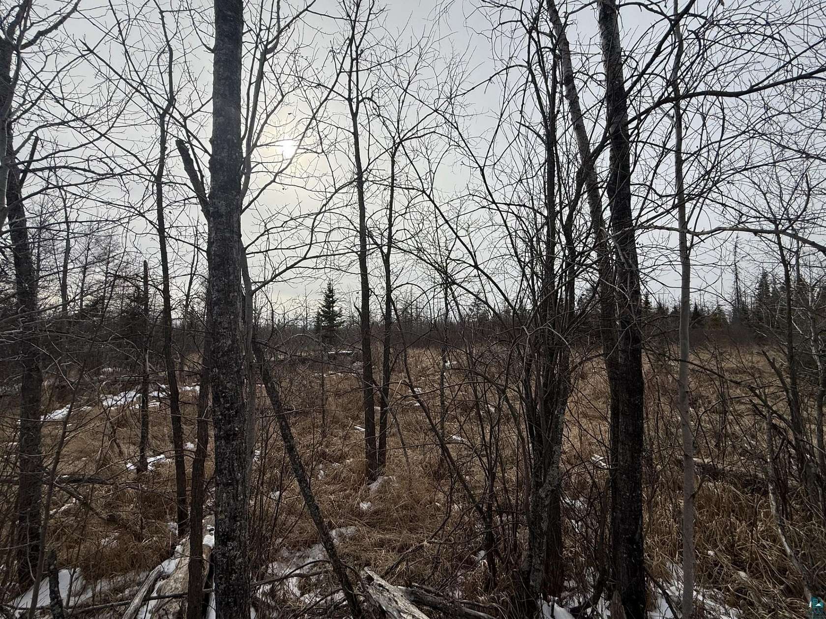 10 Acres of Land for Sale in Meadowlands, Minnesota