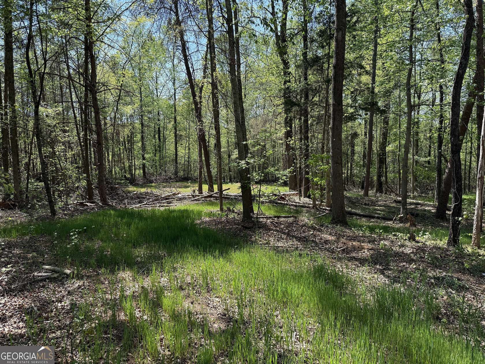 1.58 Acres of Residential Land for Sale in Maysville, Georgia