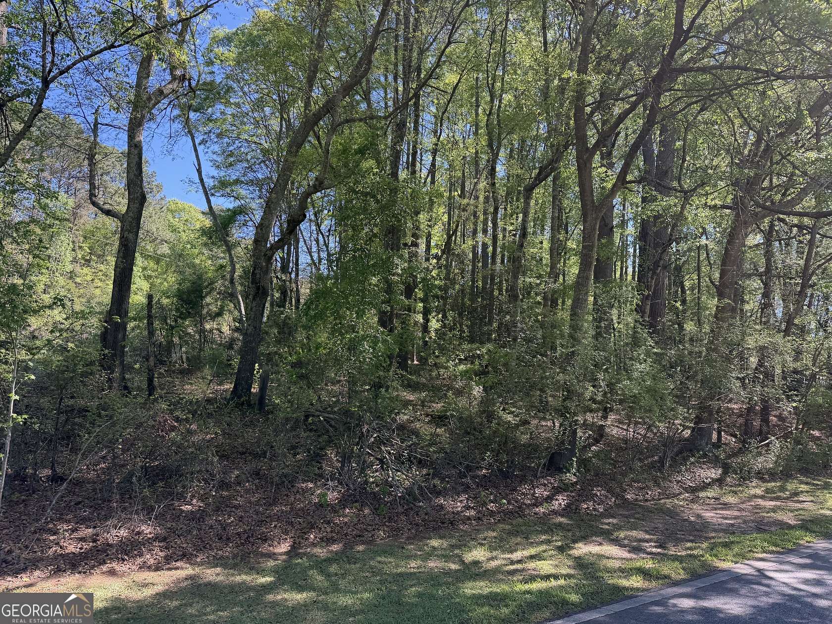 1.47 Acres of Residential Land for Sale in Concord, Georgia
