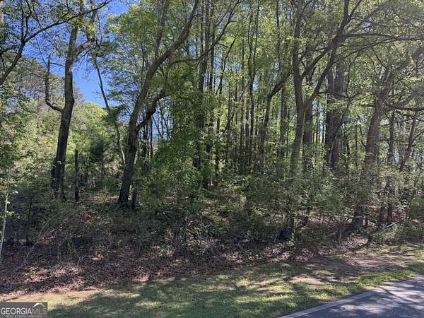 1.47 Acres of Residential Land for Sale in Concord, Georgia