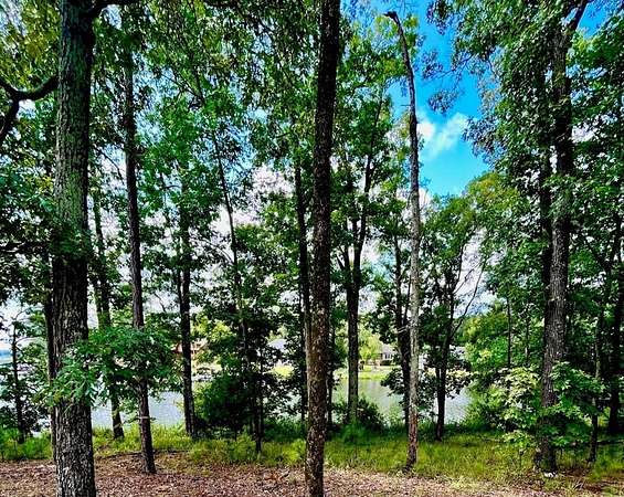 0.9 Acres of Residential Land for Sale in Cross Hill, South Carolina