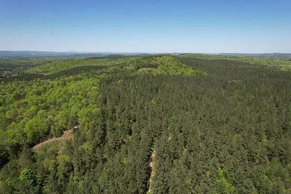 74 Acres of Land for Sale in Decatur, Tennessee