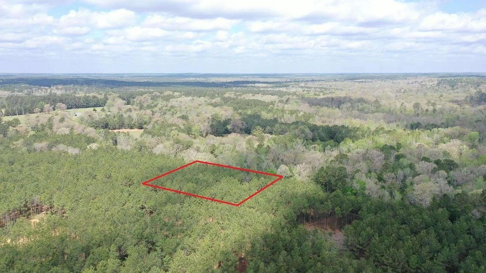 3.2 Acres of Land for Sale in Linden, Texas