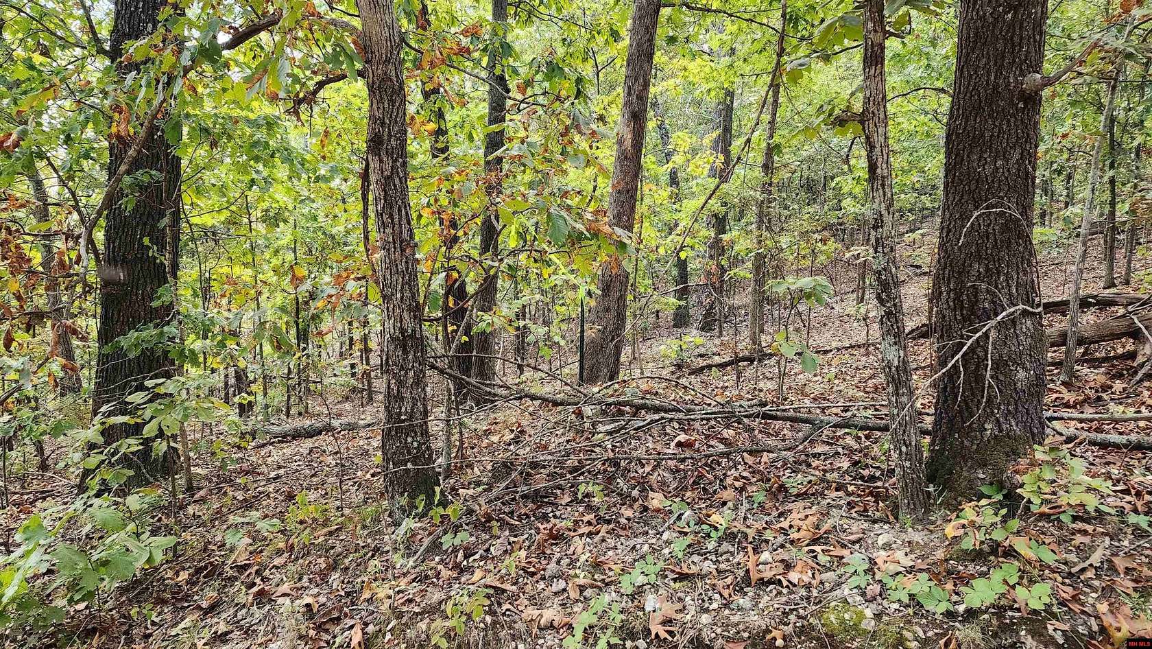 15.3 Acres of Recreational Land for Sale in Flippin, Arkansas