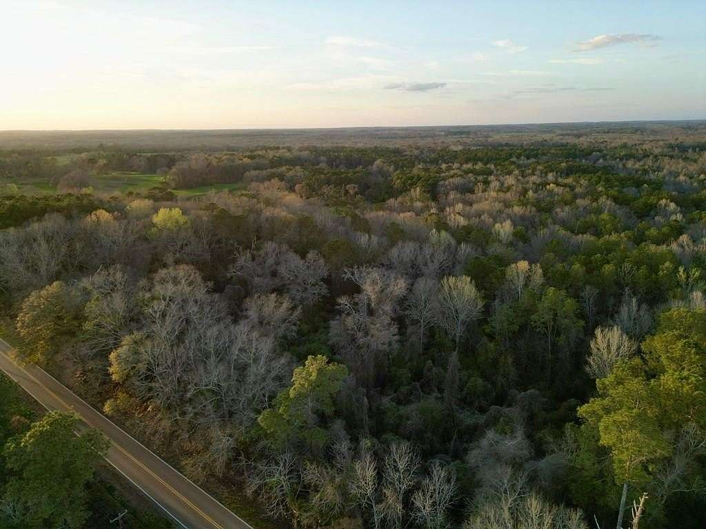 19 Acres of Recreational & Residential Land for Sale in Glenwood, Alabama