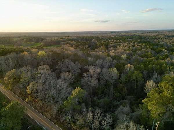19 Acres of Recreational & Residential Land for Sale in Glenwood, Alabama