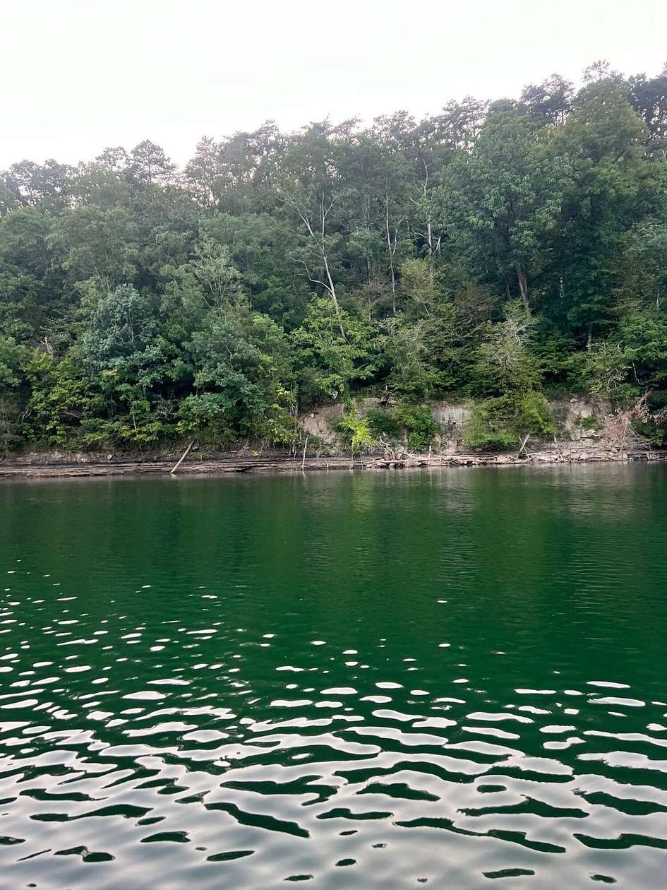 2.5 Acres of Land with Home for Sale in Houston, Alabama