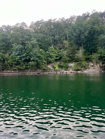 2.5 Acres of Land with Home for Sale in Houston, Alabama