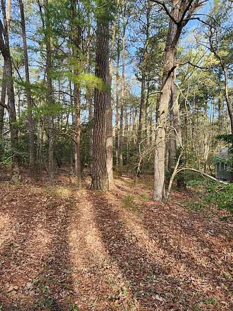 0.2 Acres of Land for Sale in Greenbackville, Virginia