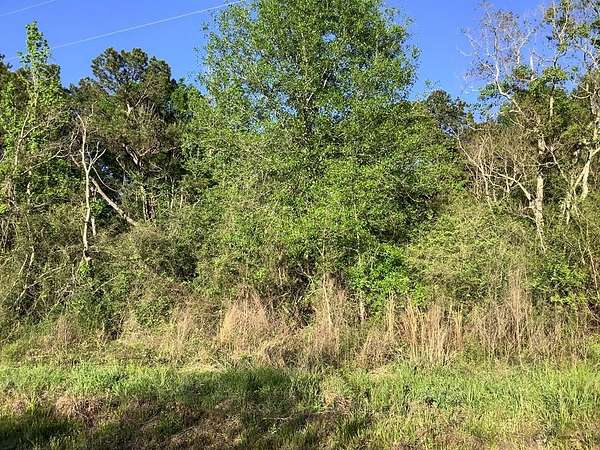 25 Acres of Land for Sale in Kirbyville, Texas