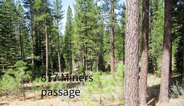 0.57 Acres of Residential Land for Sale in Clio, California