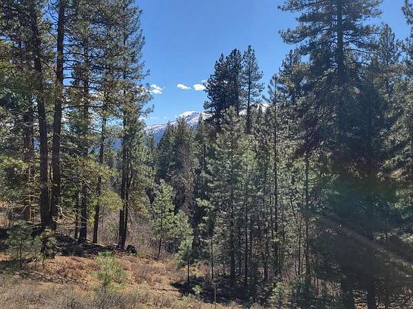 5.38 Acres of Land for Sale in Cascade, Idaho