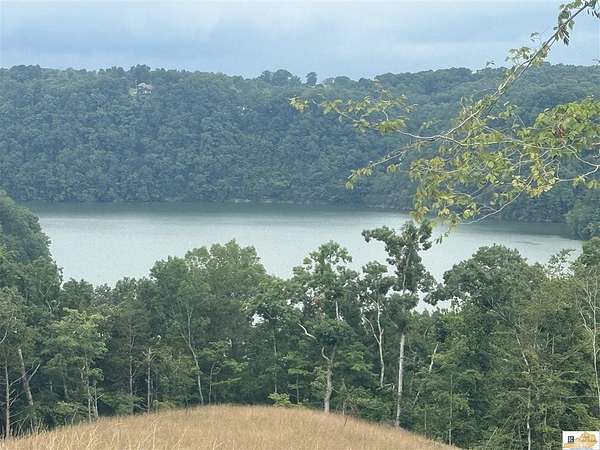 297 Acres of Land for Sale in Albany, Kentucky