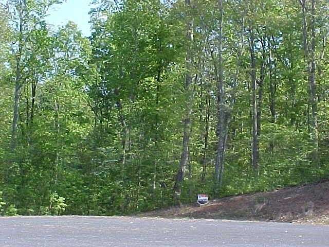 3.38 Acres of Residential Land for Sale in Pamplin City, Virginia