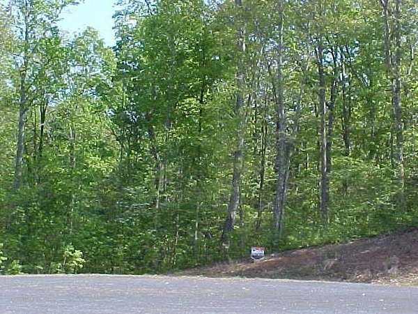 3.38 Acres of Residential Land for Sale in Pamplin City, Virginia