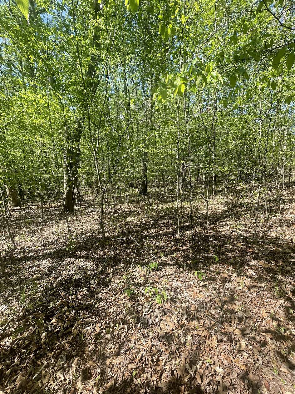 3.3 Acres of Residential Land for Sale in Cedar Grove, Tennessee