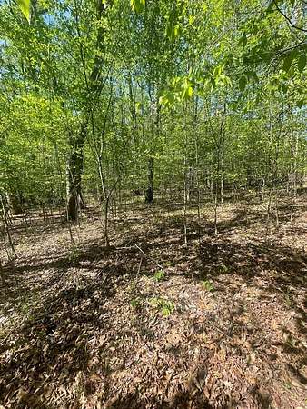 3.3 Acres of Residential Land for Sale in Cedar Grove, Tennessee