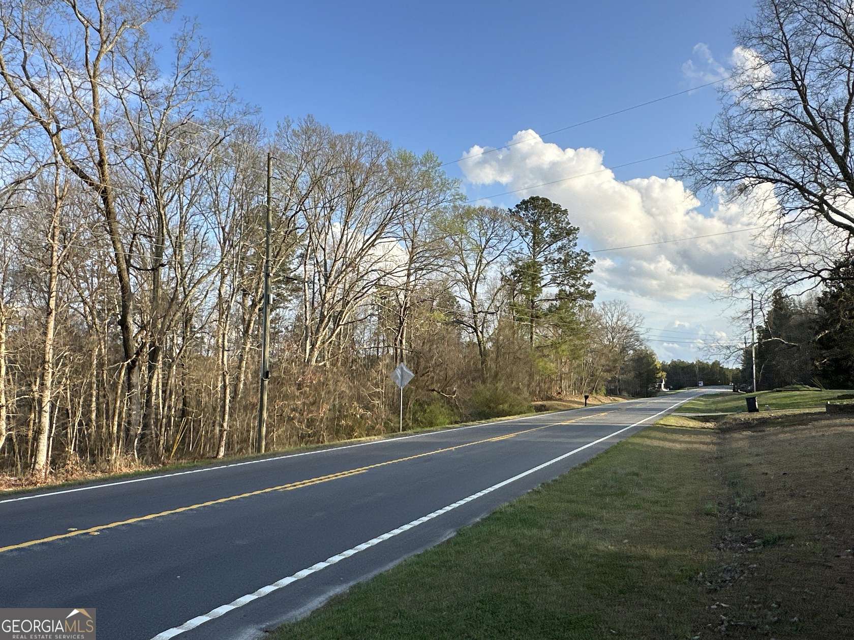 43 Acres of Land for Sale in Whitesburg, Georgia