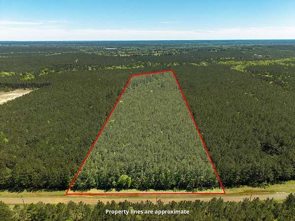 17 Acres of Land for Sale in San Augustine, Texas