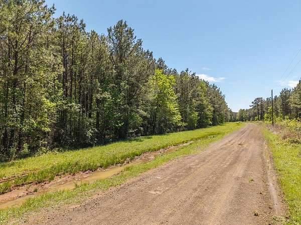 17 Acres of Land for Sale in San Augustine, Texas