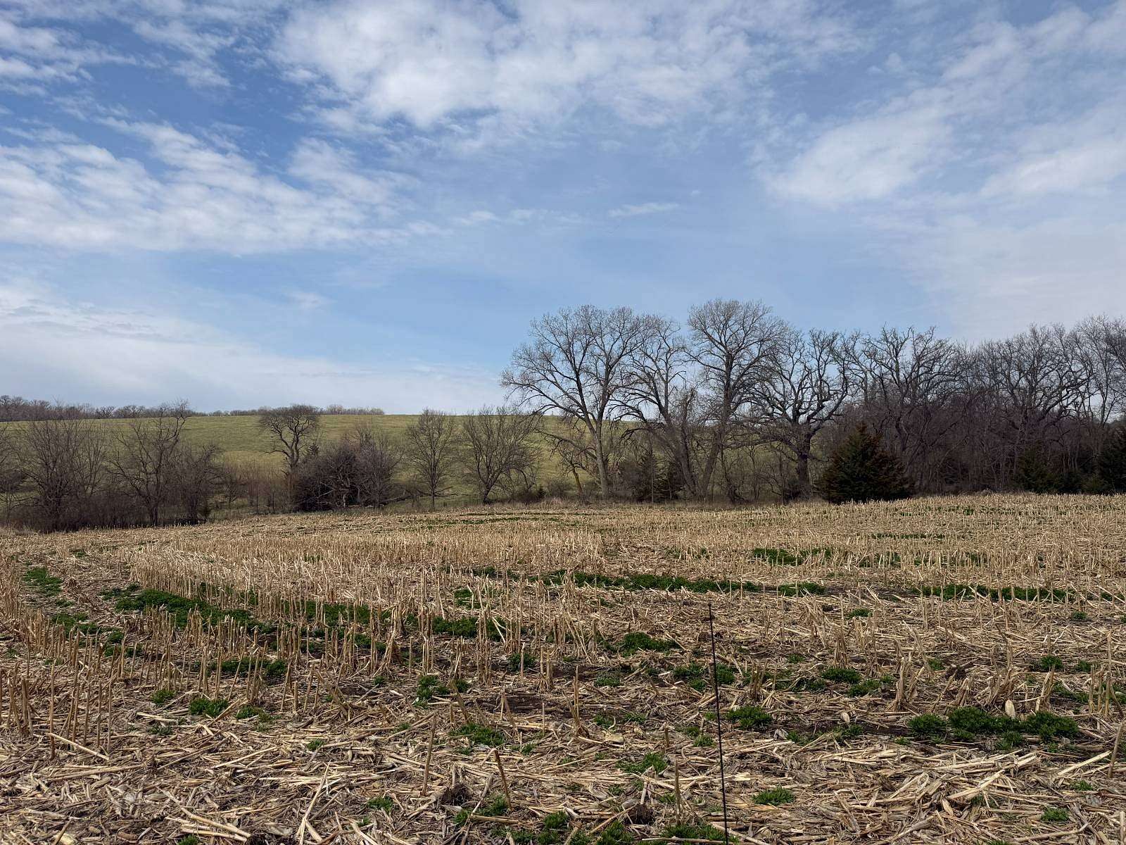 116 Acres of Recreational Land for Sale in Corning, Iowa