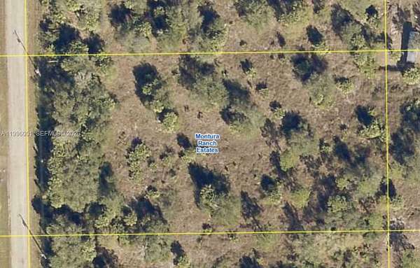 1.25 Acres of Residential Land for Sale in Clewiston, Florida