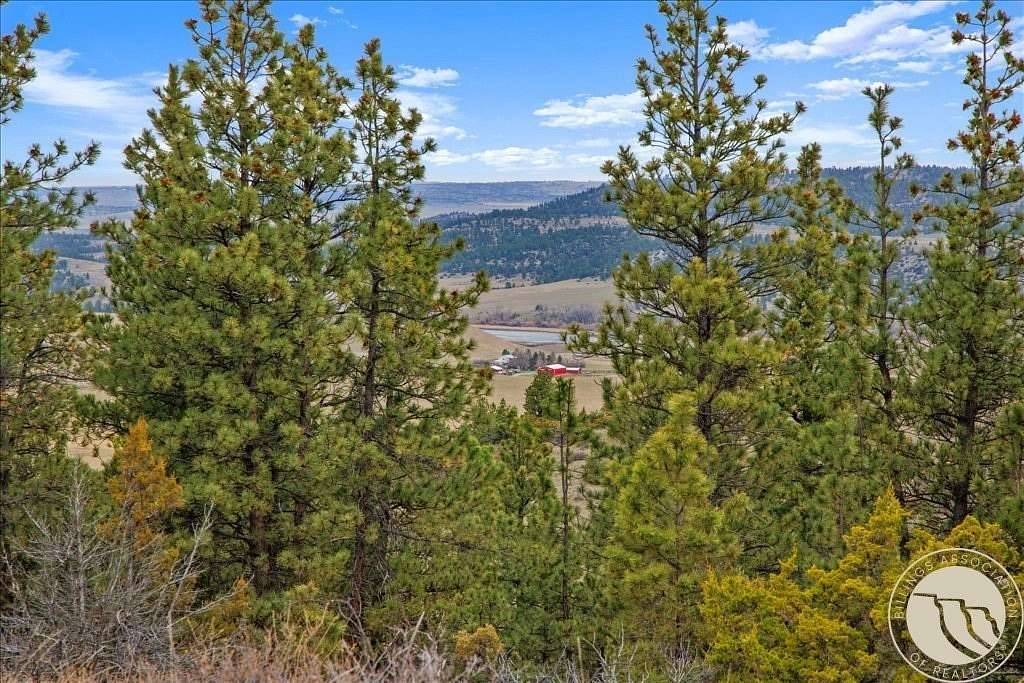 20 Acres of Recreational & Residential Land for Sale in Reed Point, Montana