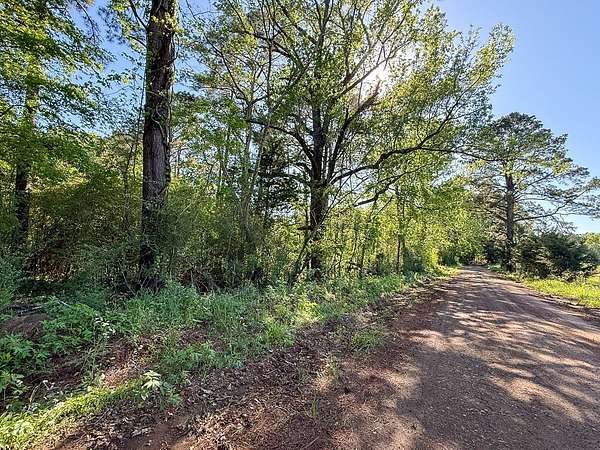 34.2 Acres of Recreational & Residential Land for Sale in Milam, Texas