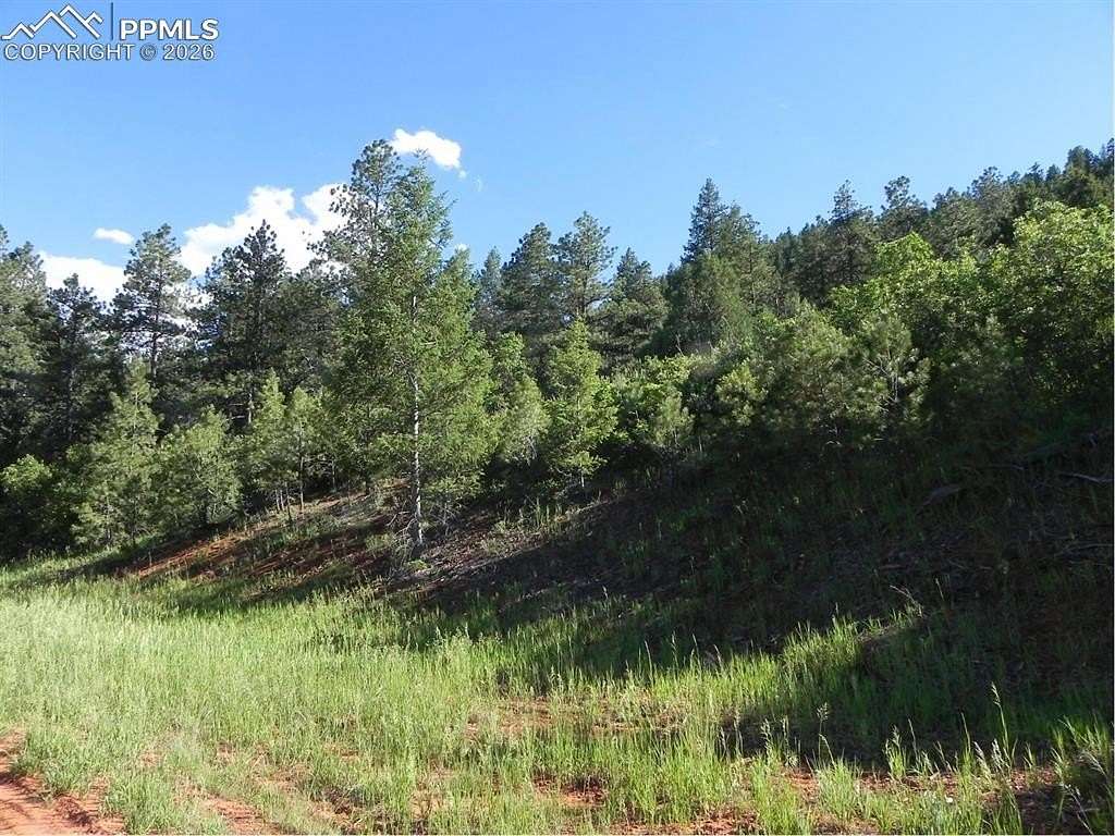 1 Acre of Residential Land for Sale in Larkspur, Colorado