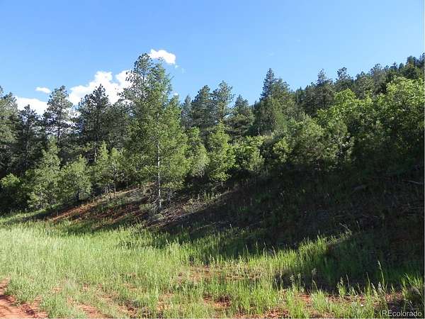 1 Acre of Residential Land for Sale in Larkspur, Colorado
